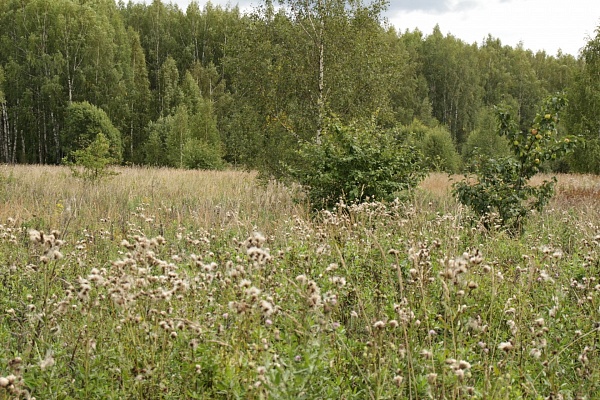 Продается земельный участок  15 соток в дер. Жердево Киржачского района, Владимирской области,110 км от МКАД по Ярославскому шоссе или 120 по Щелковскому шоссе.