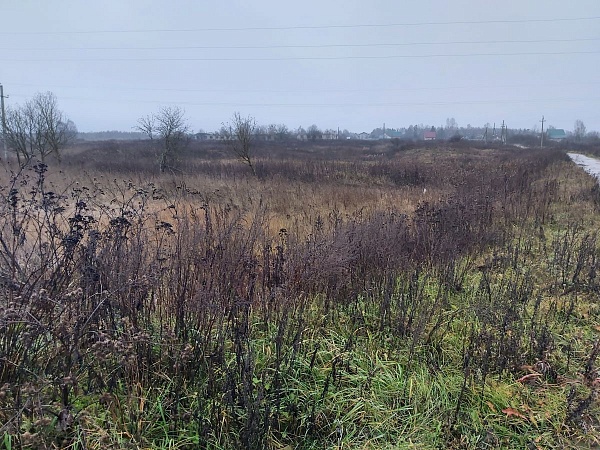 Продается старая ферма в разрушенном состоянии  на участке 80 соток под производство в деревне Вяльковка, Александровский район, Владимирская область,120 км от МКАД по Ярославскому шоссе или 130 км по Щелковскому шоссе.