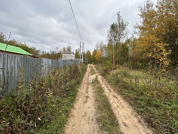 Продается земельный участок 6 соток в садовом товариществе Марино, рядом с городом Александров, Владимирская область, 100 км от МКАД по Ярославскому шоссе или 130 км по Щелковскому шоссе.